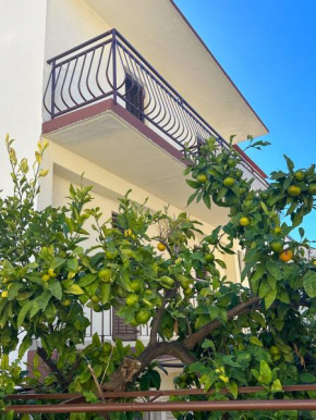 Niko Apartments